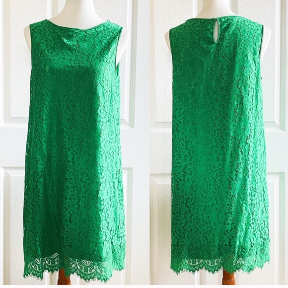 Max studio emerald lace dress - Picture 3 of 5